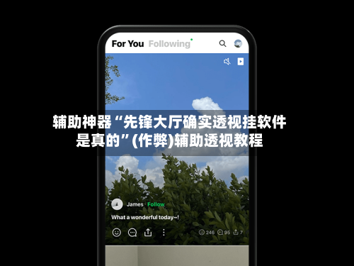 辅助神器“先锋大厅确实透视挂软件是真的”(作弊)辅助透视教程-第1张图片