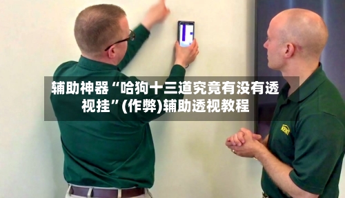 辅助神器“哈狗十三道究竟有没有透视挂”(作弊)辅助透视教程-第3张图片