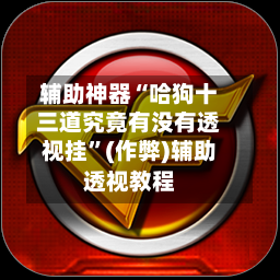 辅助神器“哈狗十三道究竟有没有透视挂”(作弊)辅助透视教程-第2张图片