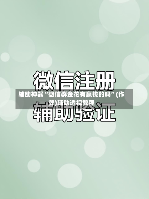 辅助神器“微信群金花有赢钱的吗	”(作弊)辅助透视教程-第1张图片