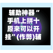 辅助神器“手机上拼十原来可以开挂	”(作弊)辅助透视教程-第3张图片