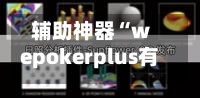 辅助神器“wepokerplus有透视挂么”(作弊)辅助透视教程-第1张图片