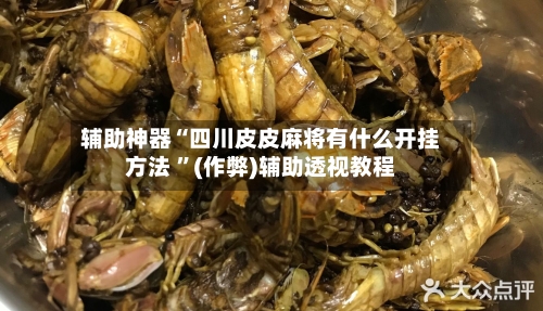 辅助神器“四川皮皮麻将有什么开挂方法 ”(作弊)辅助透视教程-第2张图片