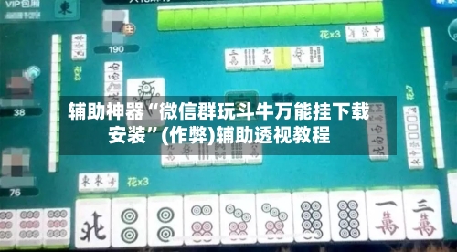 辅助神器“微信群玩斗牛万能挂下载安装	”(作弊)辅助透视教程-第3张图片