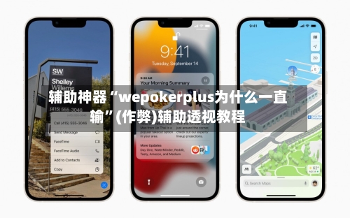 辅助神器“wepokerplus为什么一直输”(作弊)辅助透视教程-第2张图片