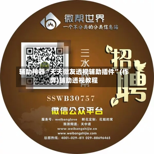 辅助神器“天天微友透视辅助插件”(作弊)辅助透视教程-第2张图片