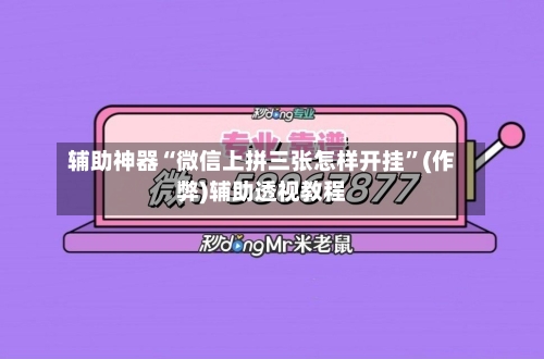 辅助神器“微信上拼三张怎样开挂”(作弊)辅助透视教程-第3张图片