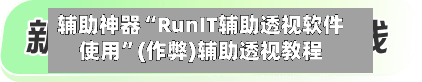 辅助神器“RunIT辅助透视软件使用”(作弊)辅助透视教程-第2张图片