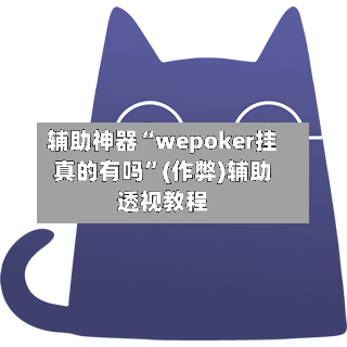 辅助神器“wepoker挂真的有吗	”(作弊)辅助透视教程-第1张图片