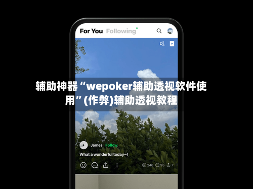 辅助神器“wepoker辅助透视软件使用”(作弊)辅助透视教程-第3张图片