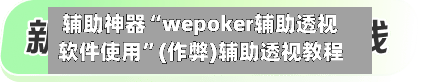 辅助神器“wepoker辅助透视软件使用	”(作弊)辅助透视教程-第2张图片
