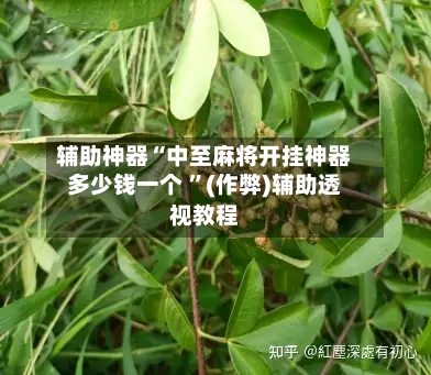 辅助神器“中至麻将开挂神器多少钱一个 ”(作弊)辅助透视教程-第3张图片