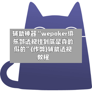 辅助神器“wepoker俱乐部透视挂到底是真的假的”(作弊)辅助透视教程-第2张图片