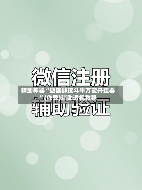 辅助神器“微信群玩斗牛万能开挂器”(作弊)辅助透视教程-第3张图片