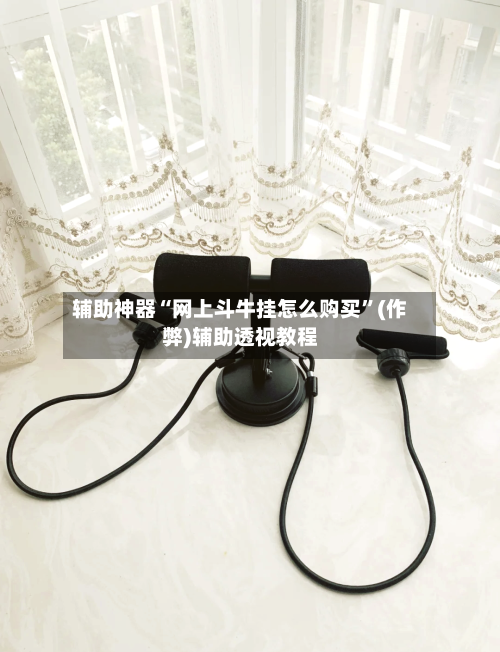 辅助神器“网上斗牛挂怎么购买”(作弊)辅助透视教程-第2张图片