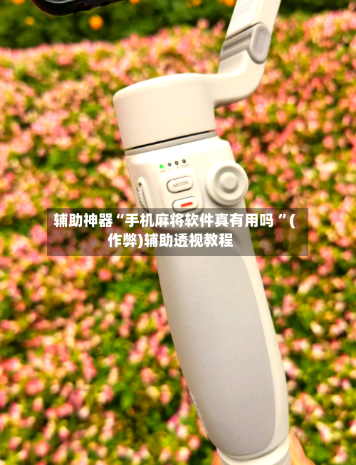 辅助神器“手机麻将软件真有用吗 ”(作弊)辅助透视教程-第1张图片