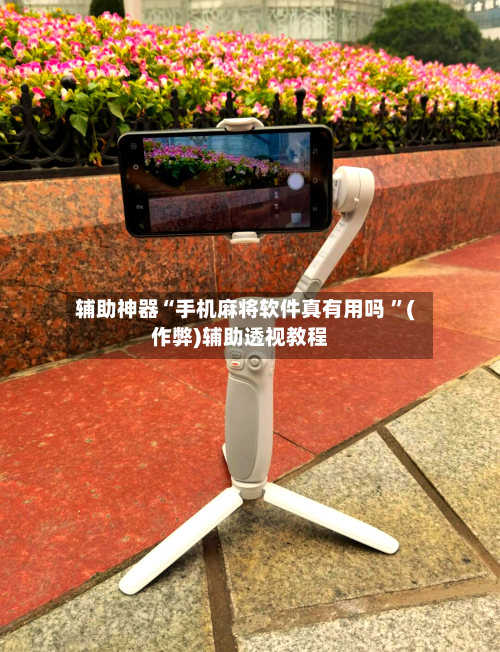 辅助神器“手机麻将软件真有用吗 	”(作弊)辅助透视教程-第3张图片