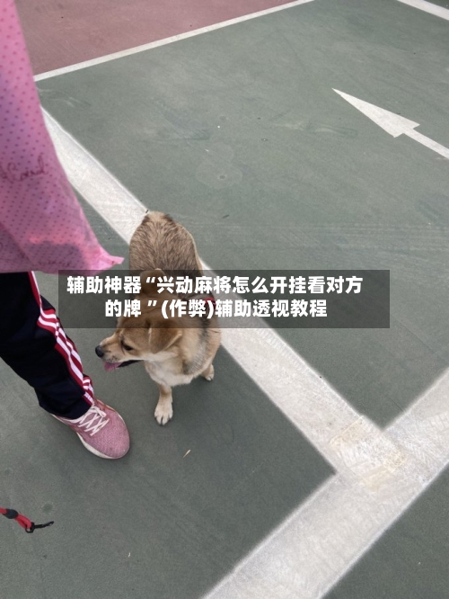 辅助神器“兴动麻将怎么开挂看对方的牌 ”(作弊)辅助透视教程-第2张图片