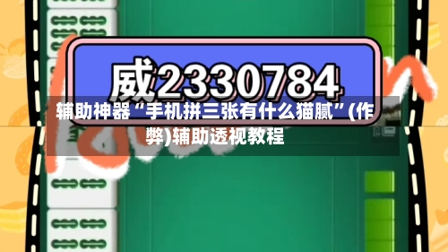 辅助神器“手机拼三张有什么猫腻”(作弊)辅助透视教程-第1张图片