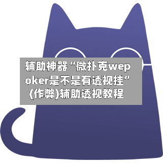 辅助神器“微扑克wepoker是不是有透视挂”(作弊)辅助透视教程-第2张图片