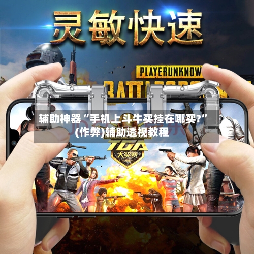 辅助神器“手机上斗牛买挂在哪买?”(作弊)辅助透视教程-第2张图片